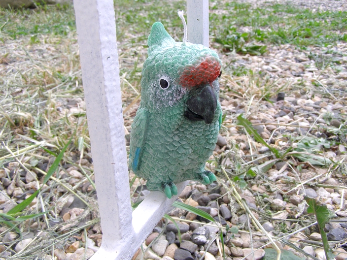 Svíčka vonná z palmového vosku - Papoušek Ara zelený - jablko