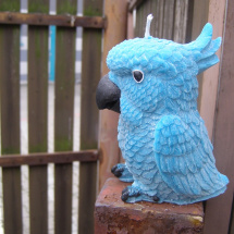 Svíčka vonná z palmového vosku - Modrý papoušek