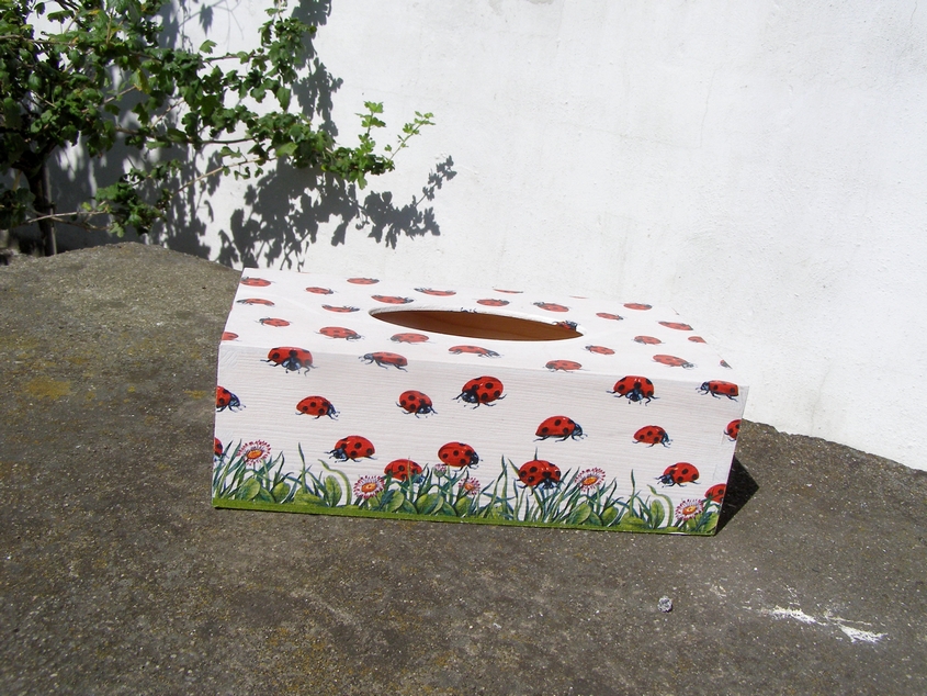 Krabice na kapesníky - Berušky