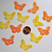 motýl oranž