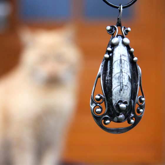 Sada Šimon - Orthoceras...