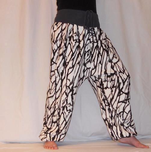 Turky z křídel vážky