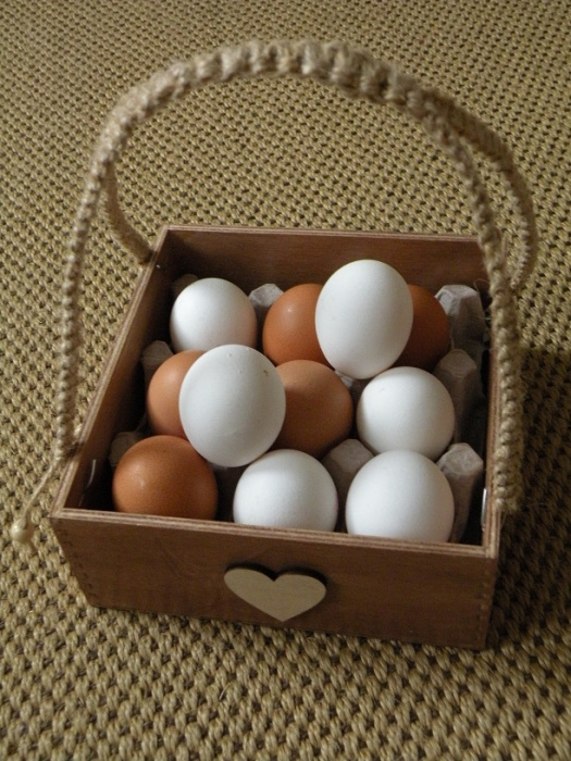 Stojan na dochucovadla/košík na 9 vajec
