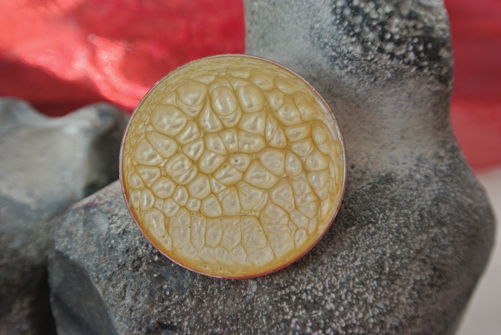 Brož barvy šampaň