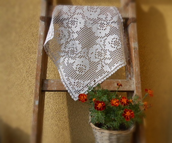 Krása růží...dečka