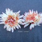 Květ chryzantema jehlicová (679/15)