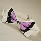 Motýlek - bílý s fialovým motýlem 7517965