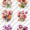 Soft papír A4 pro tvoření - Tulipány - KBS833