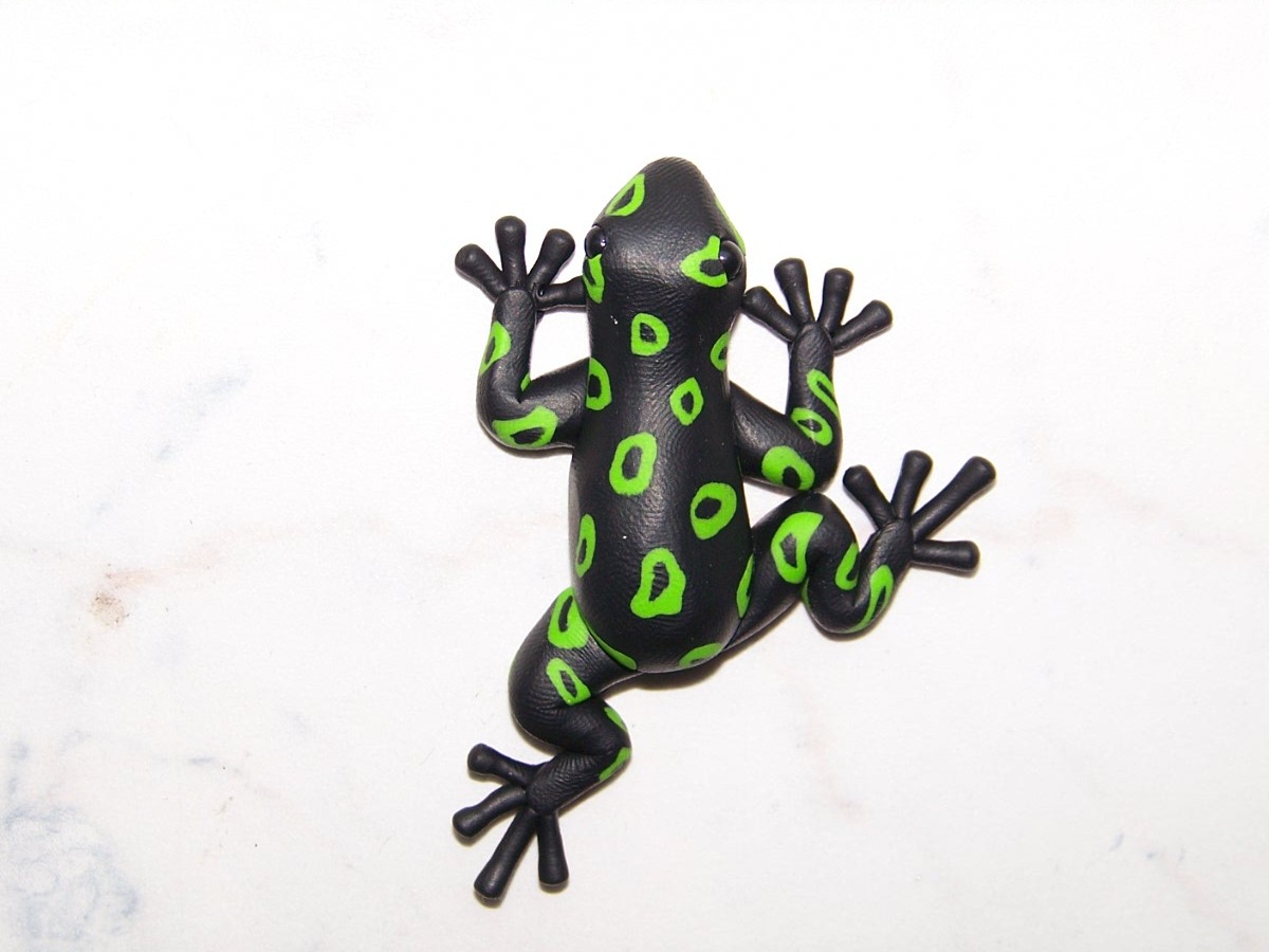 Pralesnička zelenkavá