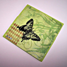 DVD Obal - Motýl No.1