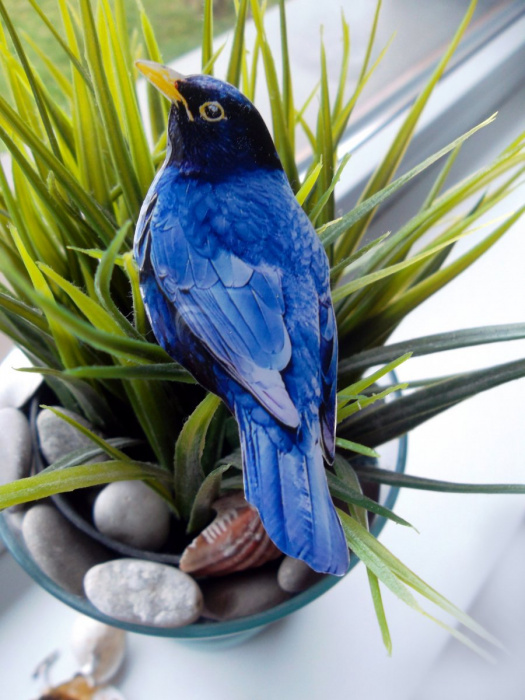 Modrý ptáček - autorská brož