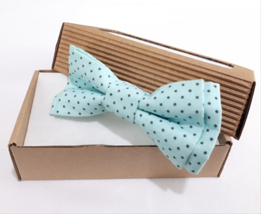 Pánský Motýlek Classic Style