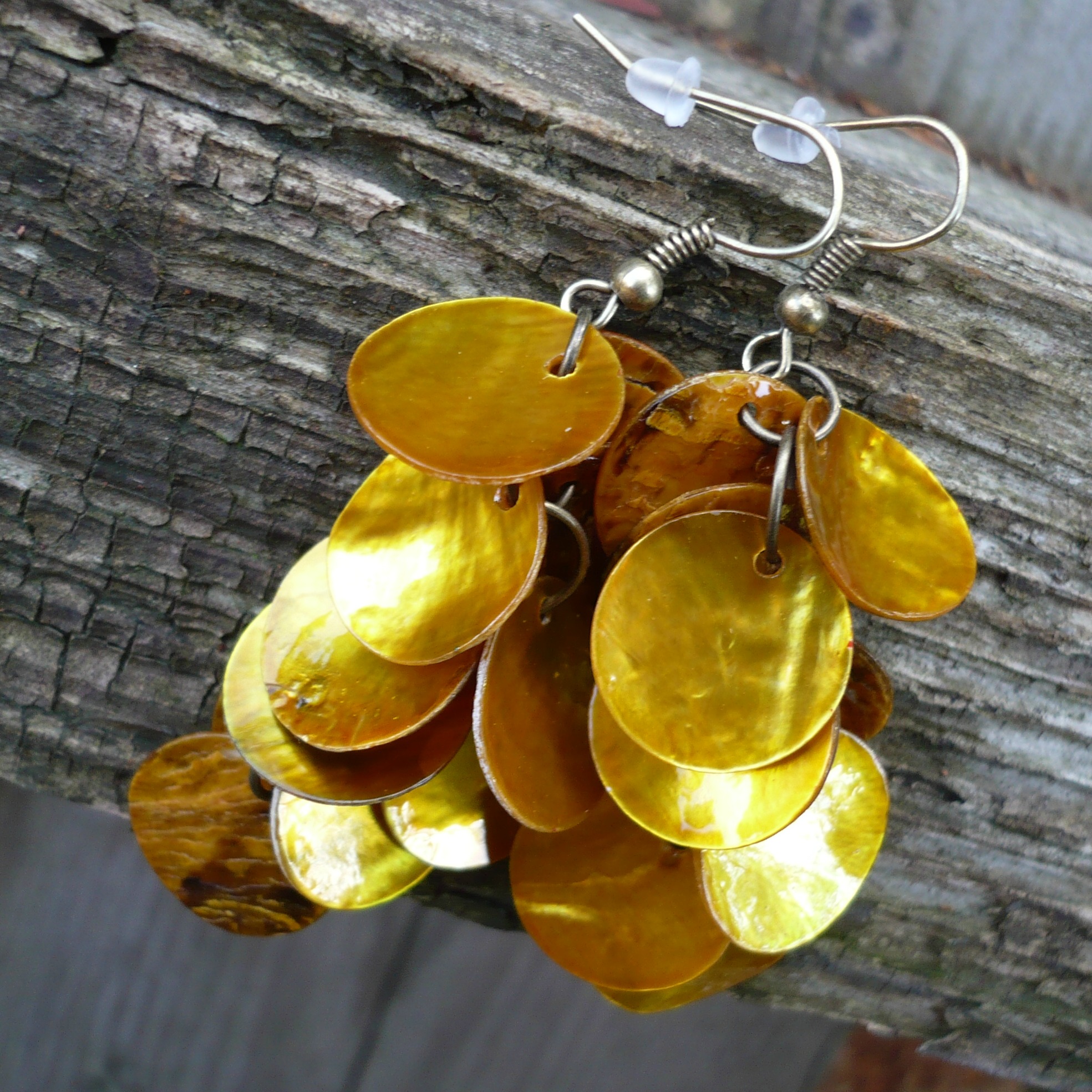 Sluníčkové perleťovky