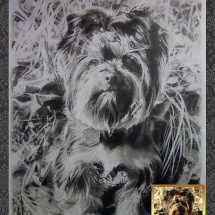 portrét z fotky: Jorkšírský teriér, obraz A3, kreslený uměleckou tužkou na profesionálním papíře-vložen zdarma pod skleněný rám