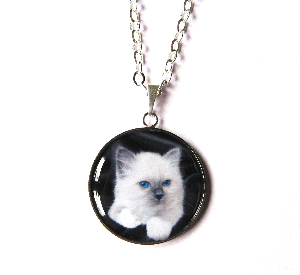 Mám oči jako kotě a jsem kočka !