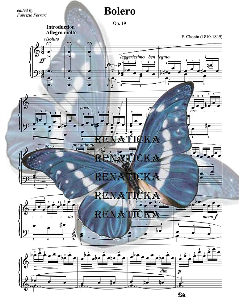 Nažehlovací obrázek V113