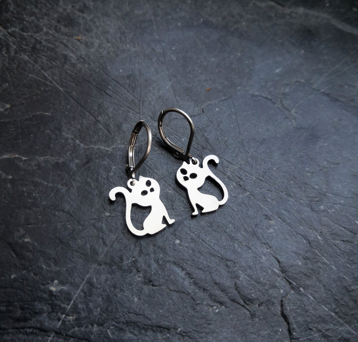 Náušnice*kočičky*chir.ocel