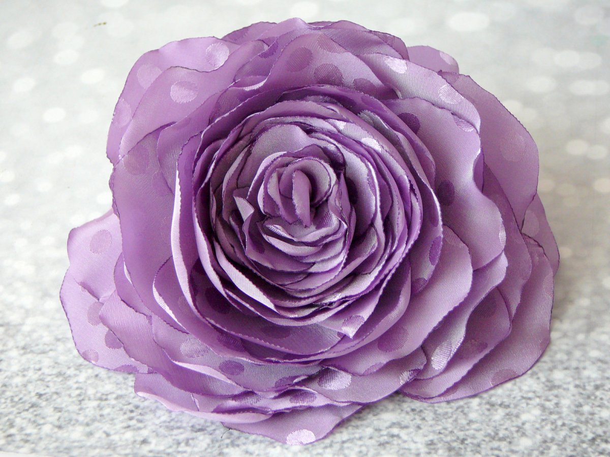 Šeříková růže.