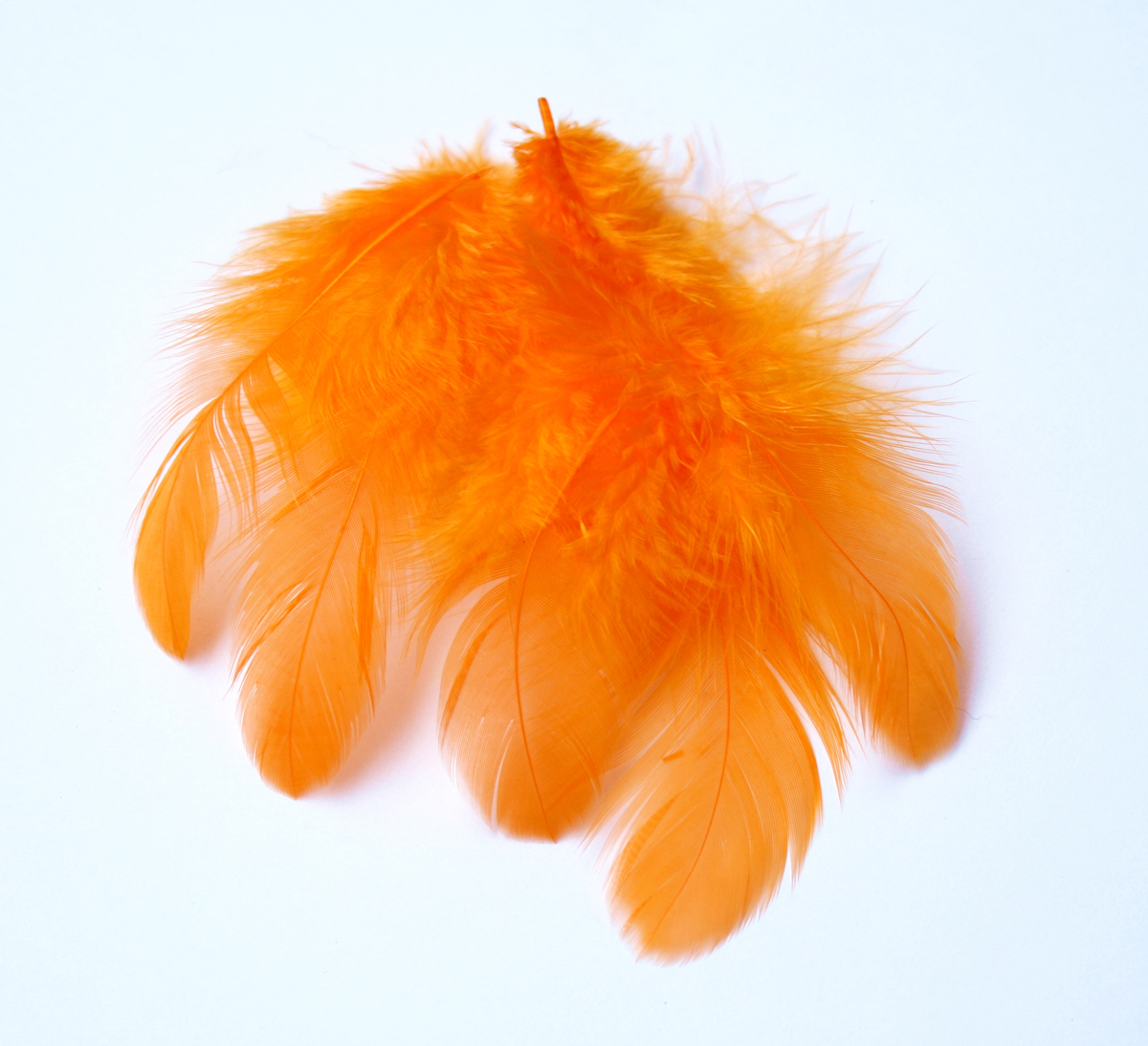 Slepičí pírka 10KS, oranžová