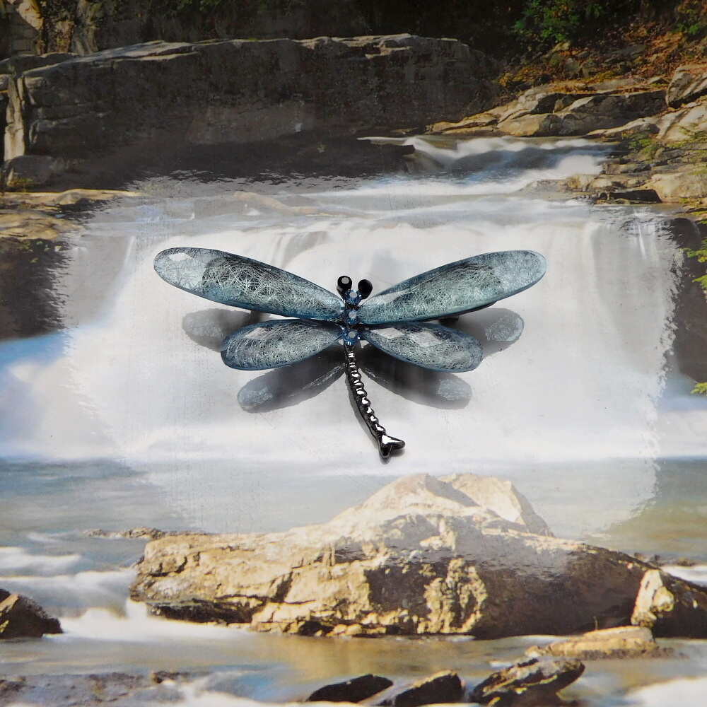 Brož - Vážka do šeda