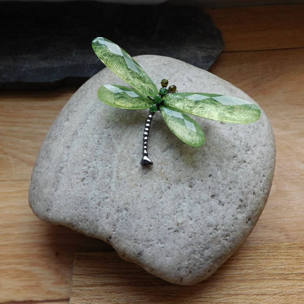 Brož - Zelenkavá vážka