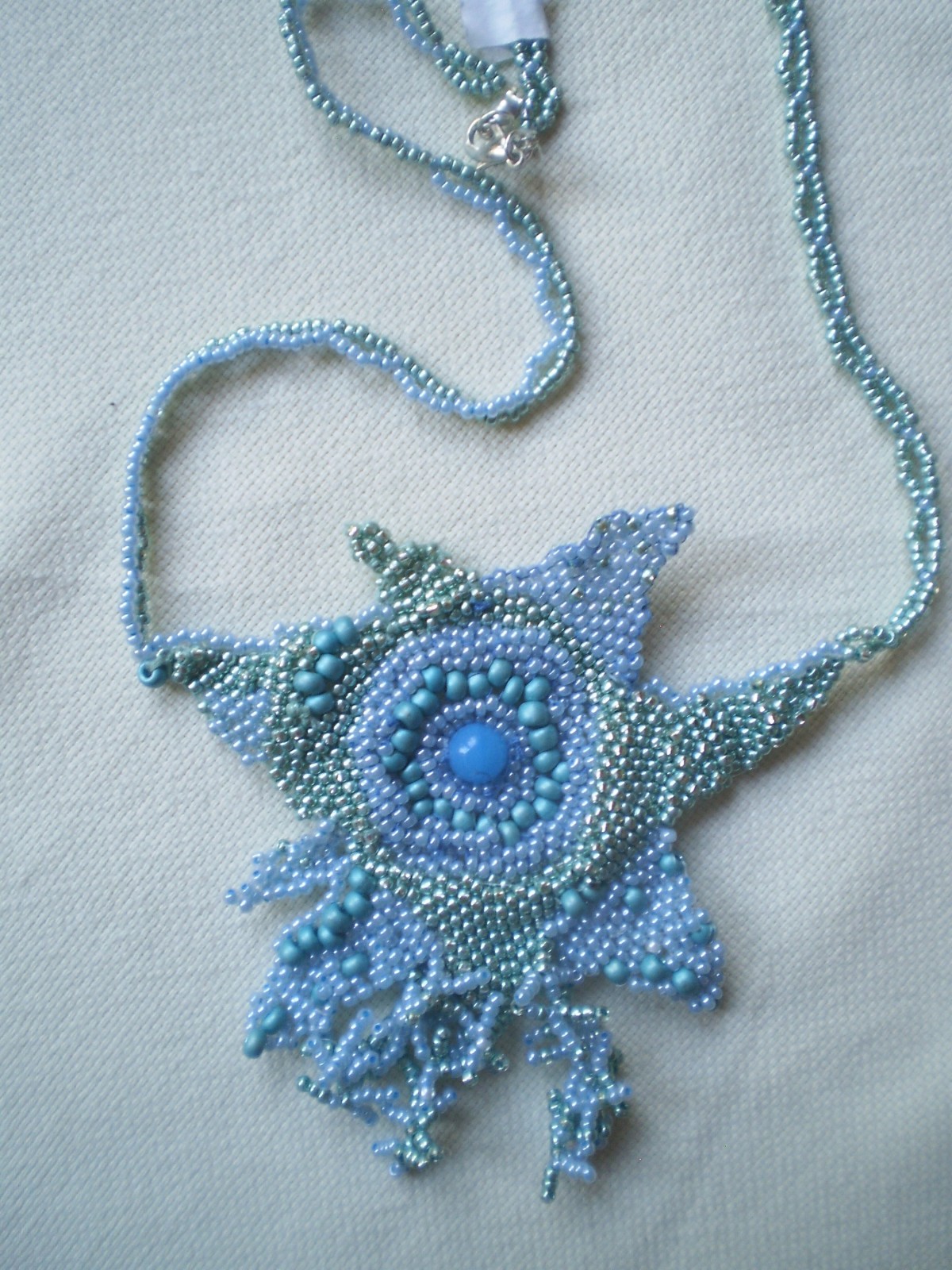 Šitá mořská hvězda