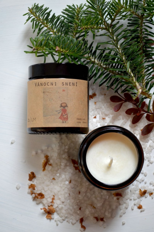 Sójová svíčka - VÁNOČNÍ SNĚNÍ .... 120 ML