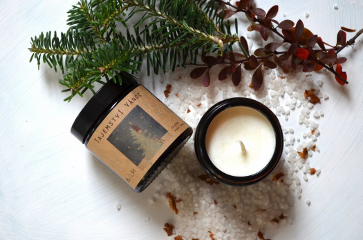 Sójová svíčka - TAJEMSTVÍ VÁNOC.... 180 ML