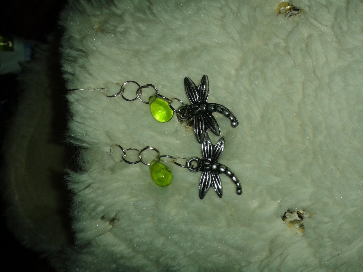 NÁUŠNICE - vážky