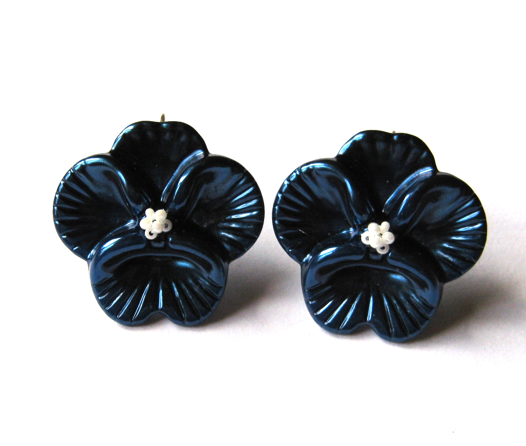 Perlové modré macešky.