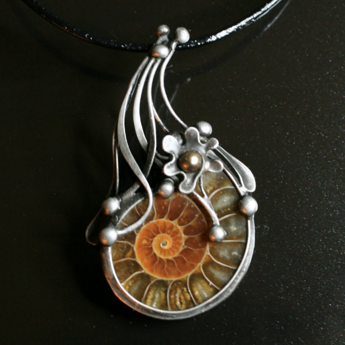 Z dávných časů - amonit