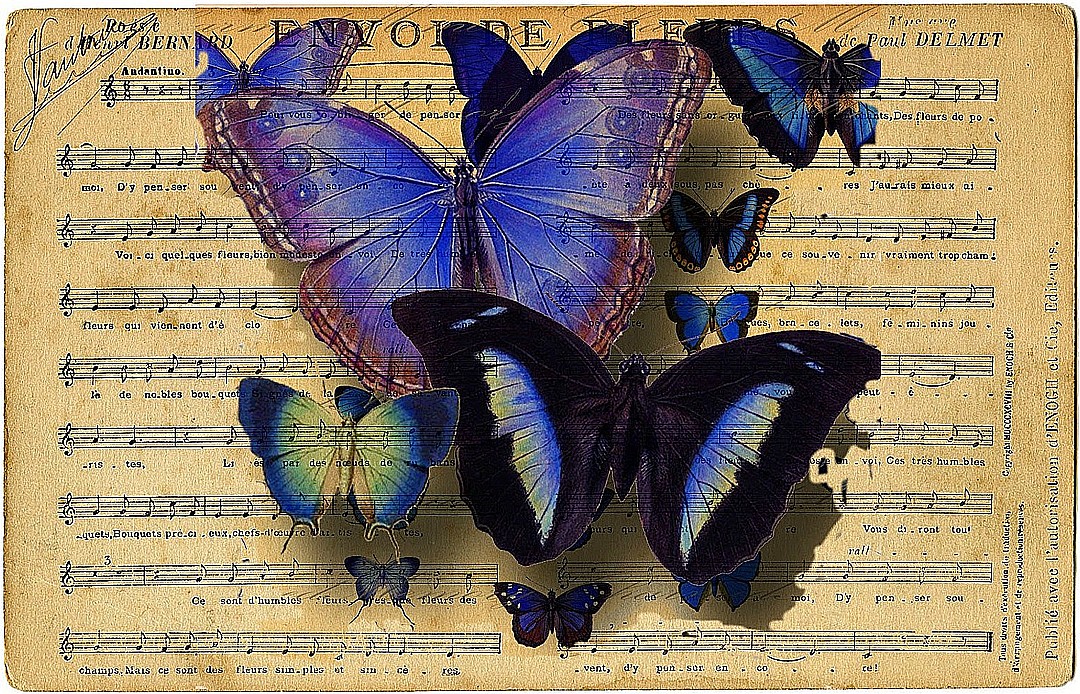 Nažehlovací obrázek V14