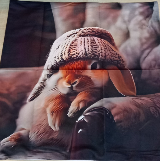 Povlak na polštář - Králík v čepici