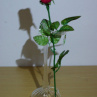 Luxusní váza - CONTURAX