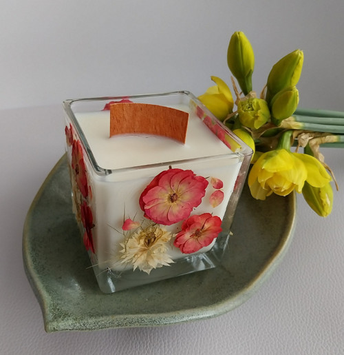 Svíčka rozkvetlá louka II.