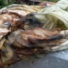 Šál skořicovo-hnědo-olivový, 180x90 cm