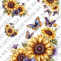 Soft papír A4 pro tvoření - Slunečnice, motýl, bordury  - KBS1625