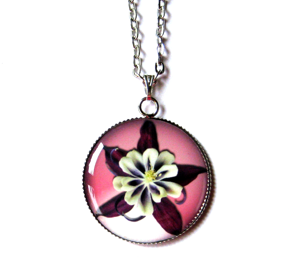 Aquilegia v kouzlech pro odvahu a lásku. 