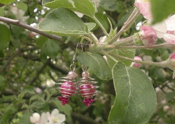 Růžové spirály -náušnice