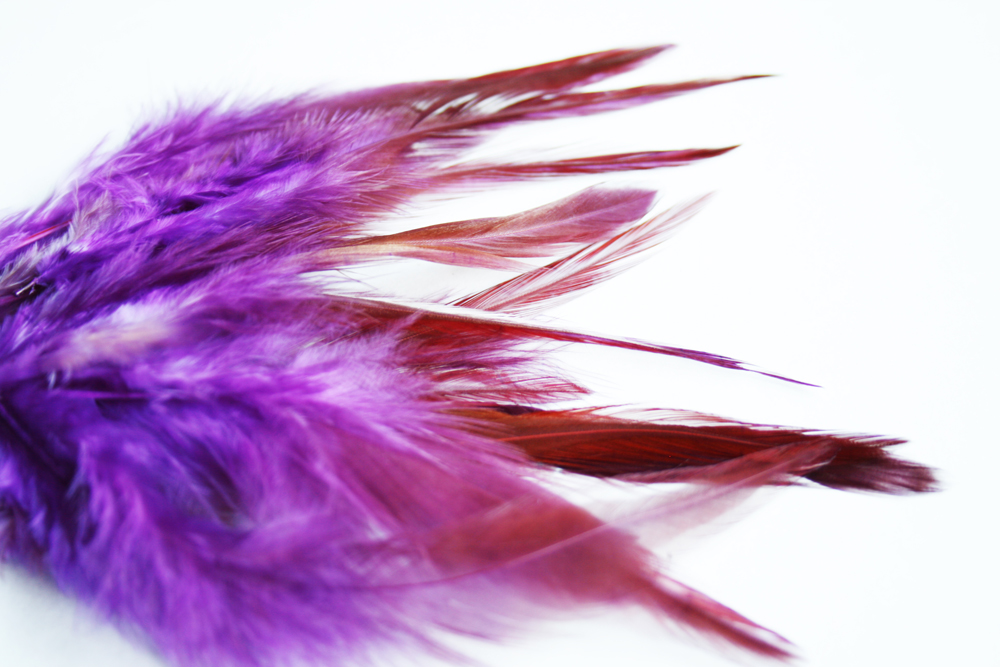 Kohoutí pírka FIALOVÁ