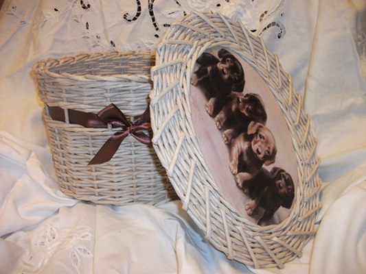 Košík - sladké štěněcí mámení