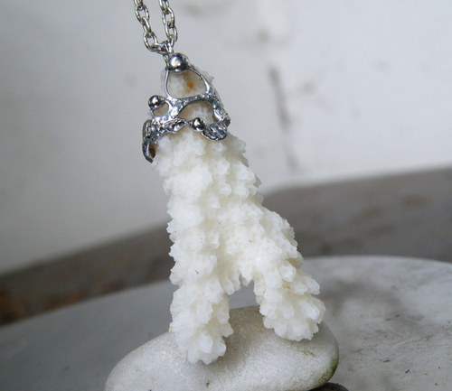 Ratolest z mořského dna (Korál)