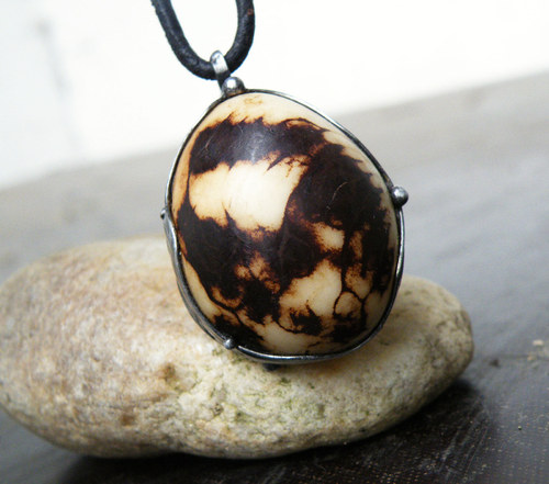 Dračí vejce...(Phytelepas macrocarpa)