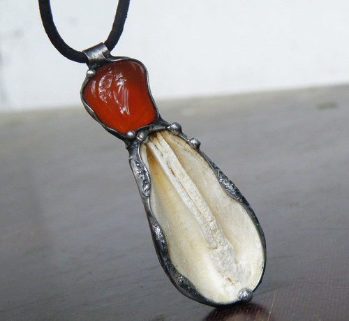 Silia...(Bagon petal - sušina, karneol) 