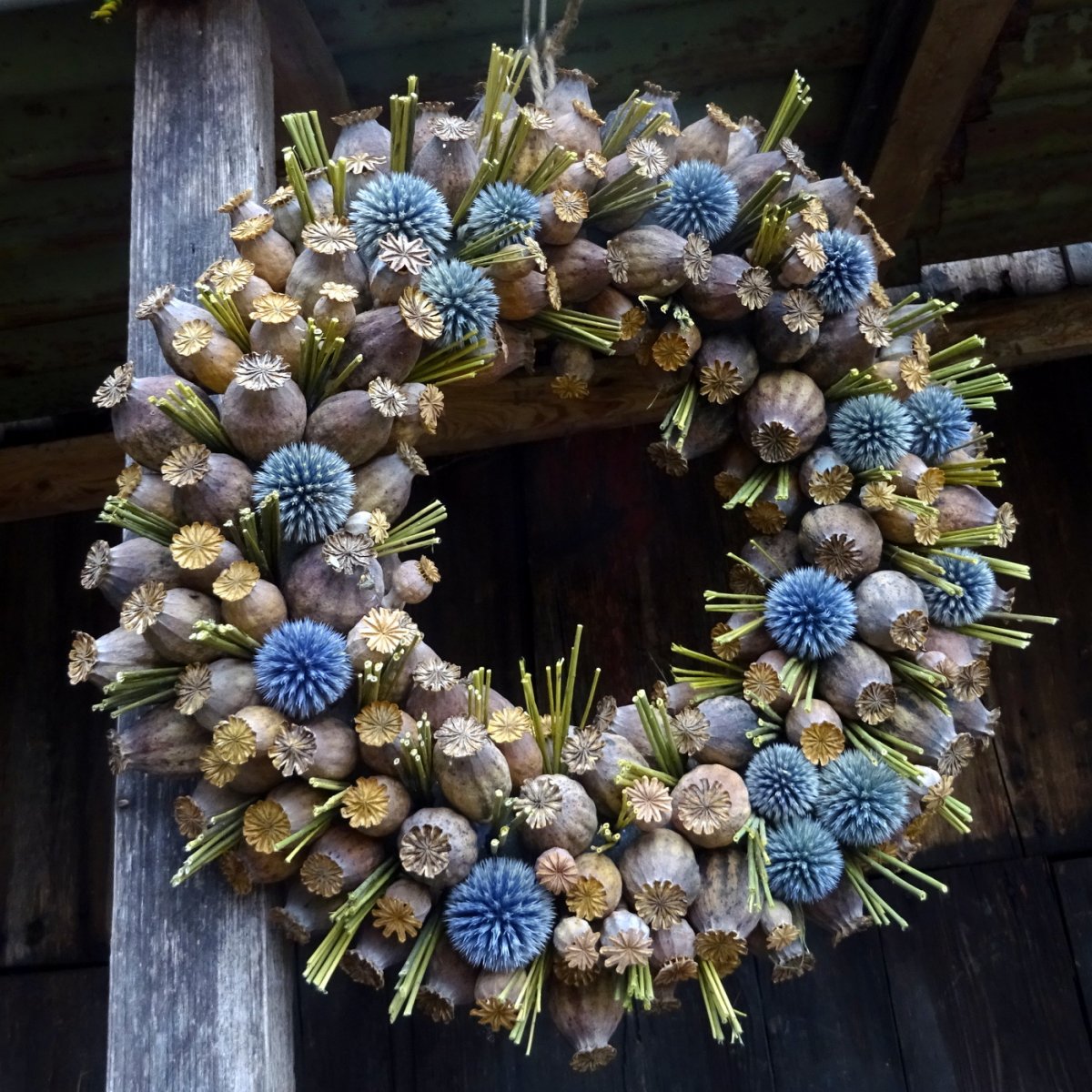 Věnec - Makovec velký...