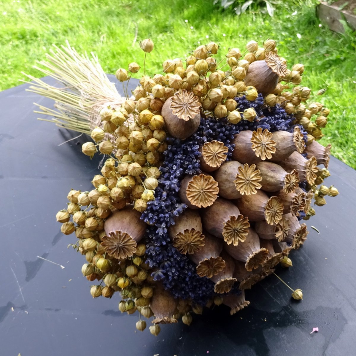 Kytice - Len, makovice...