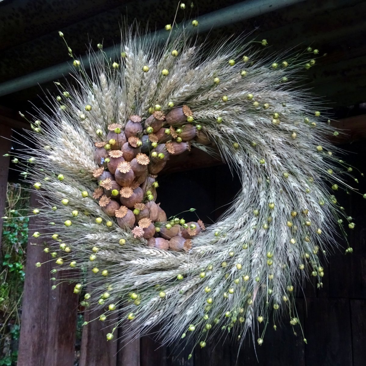 Věnec - Měsíc v obilí