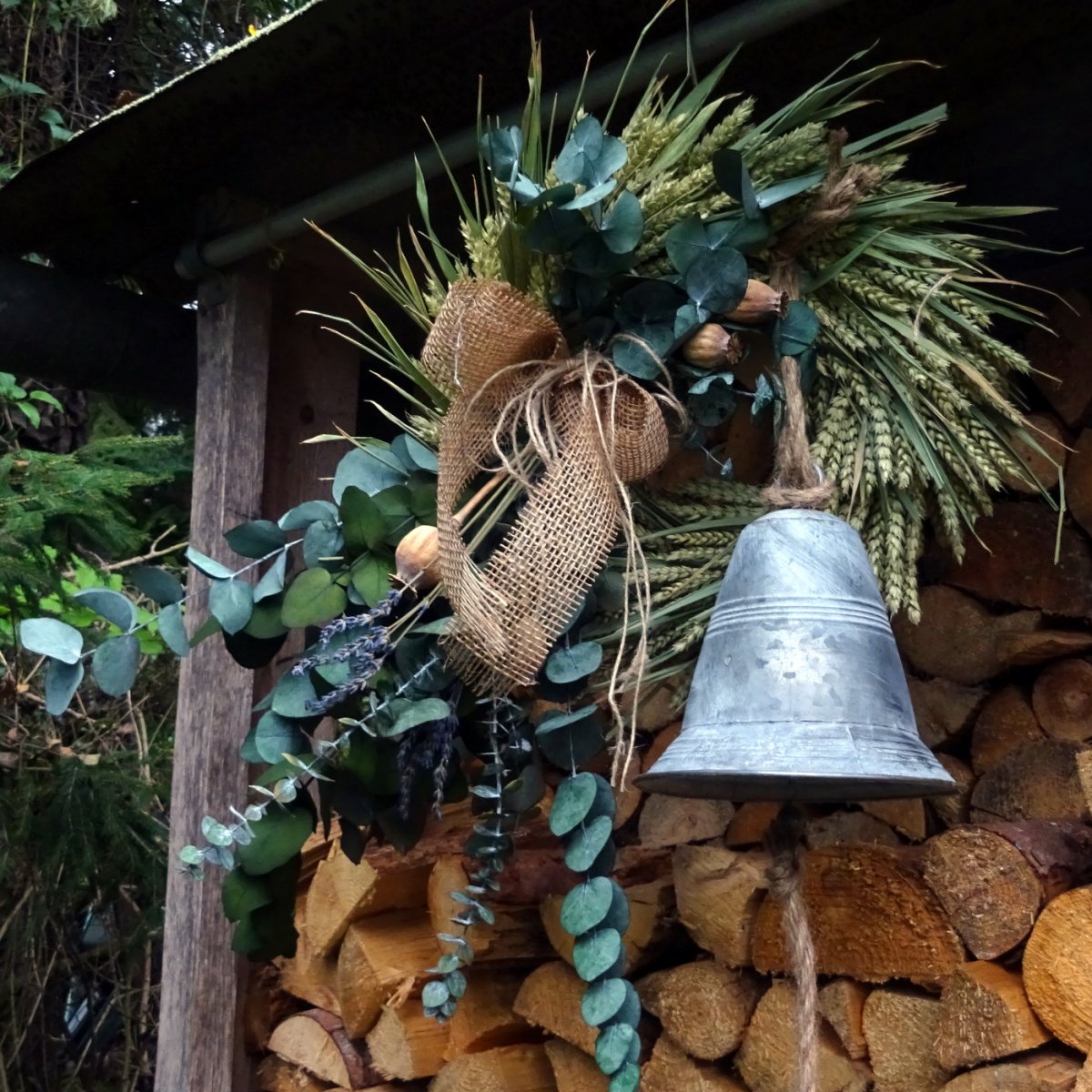 Věnec - Polednice 15