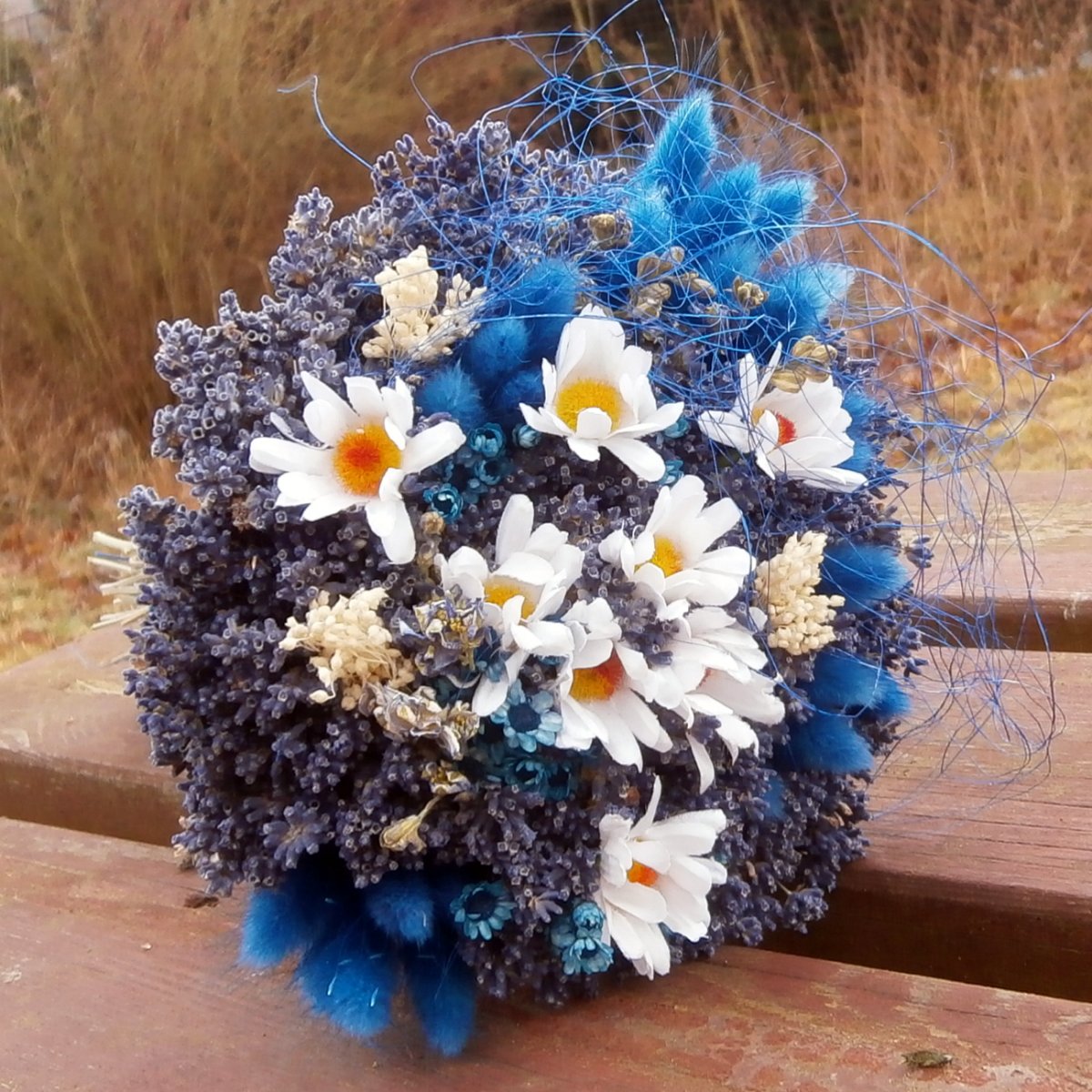 Kytice - Kopretiny v levanduli