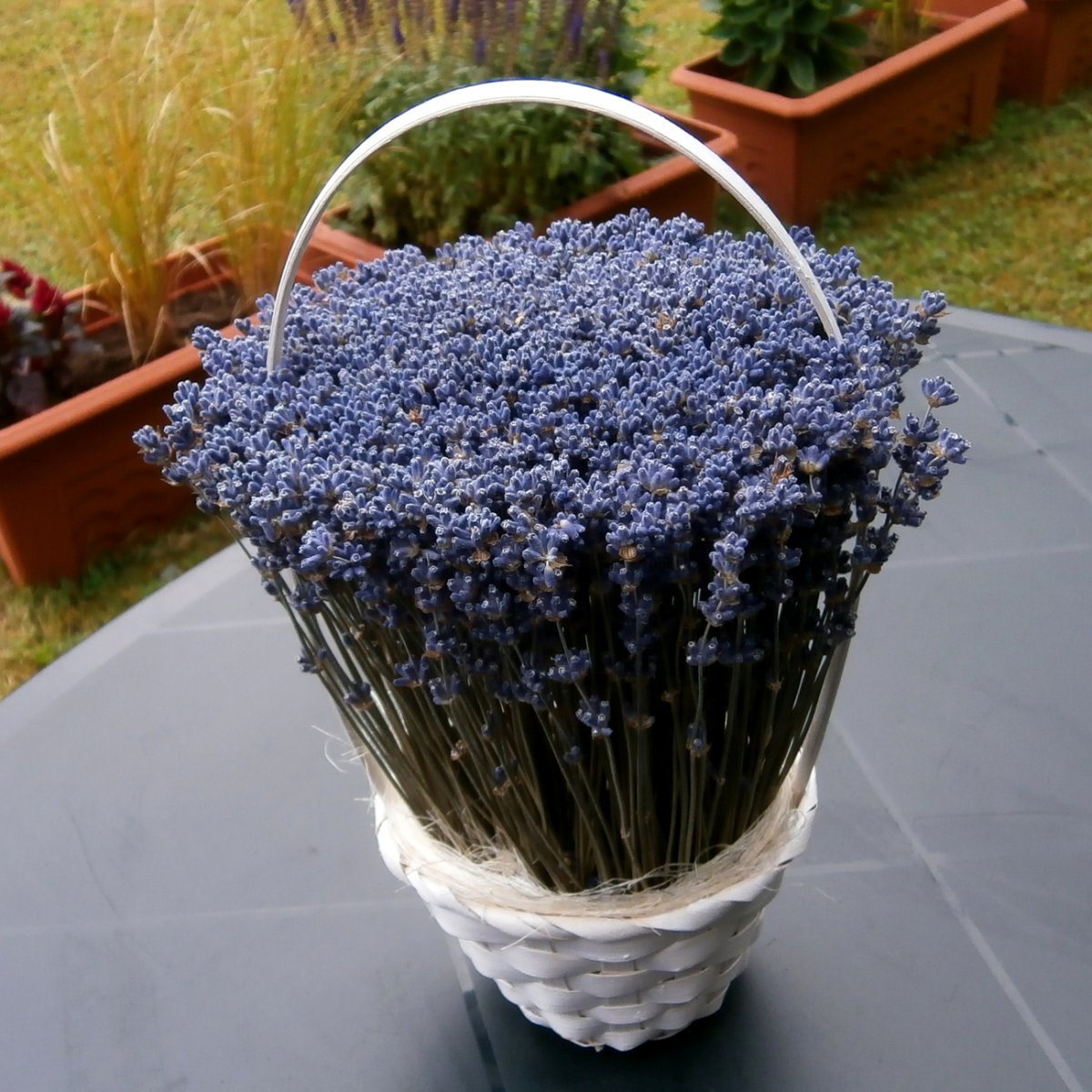 Dárek levandulový...